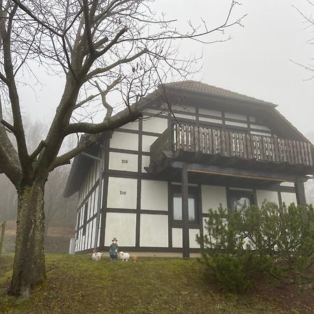Ferienwohnung Lix Direkt Am Waldrand Frankenau 外观 照片