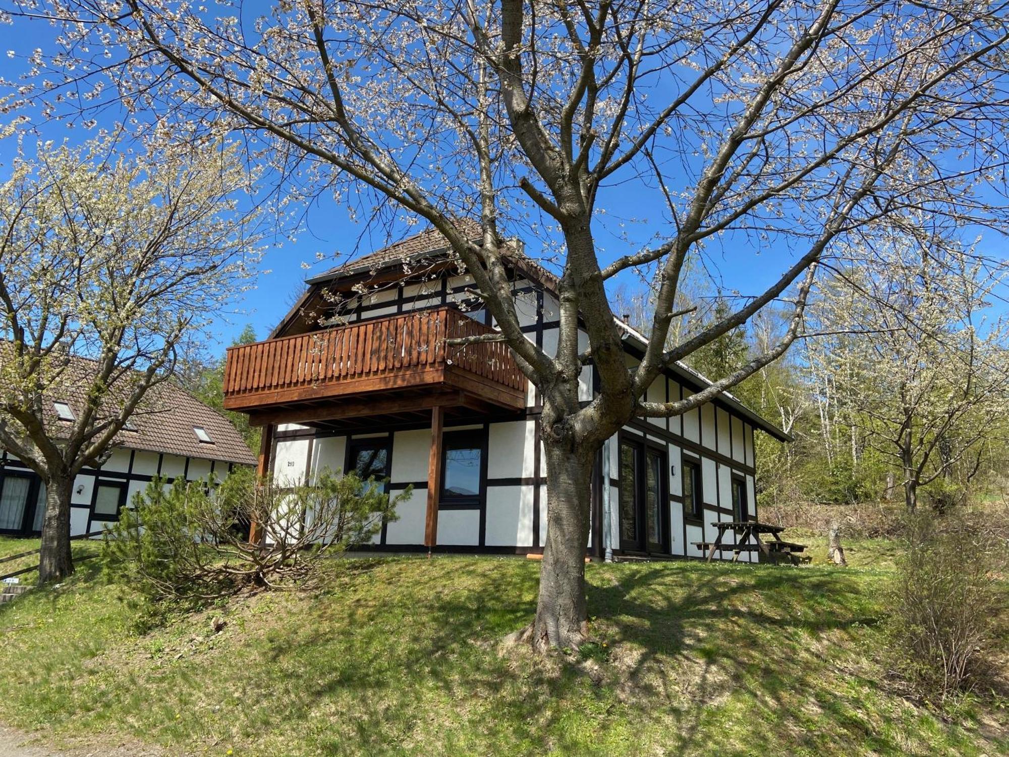 Ferienwohnung Lix Direkt Am Waldrand Frankenau 外观 照片